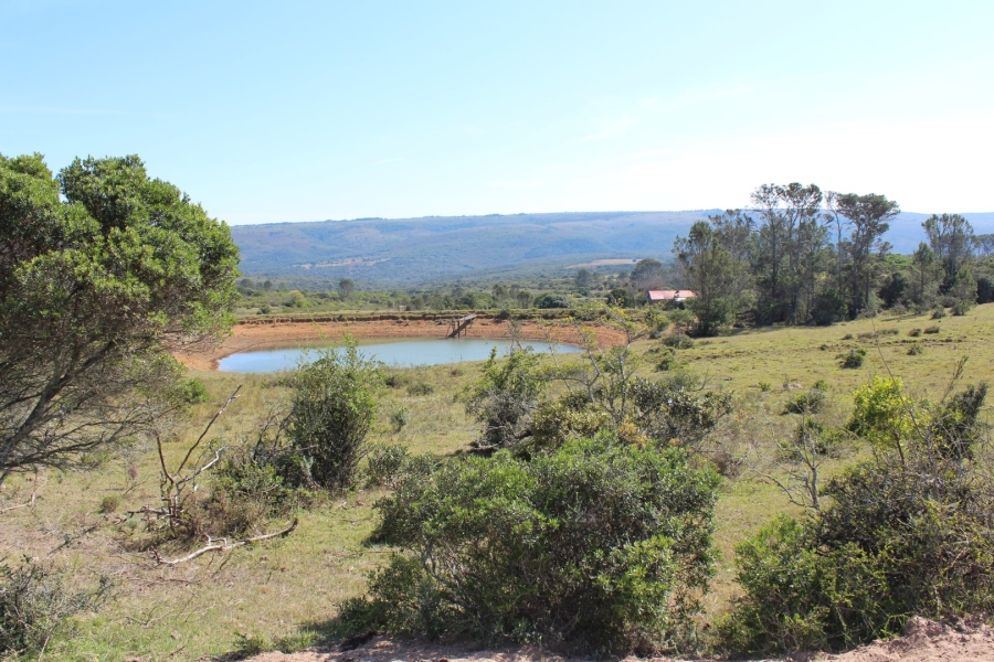 4 Bedroom Property for Sale in Bathurst Rural Eastern Cape